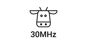 30 MHz